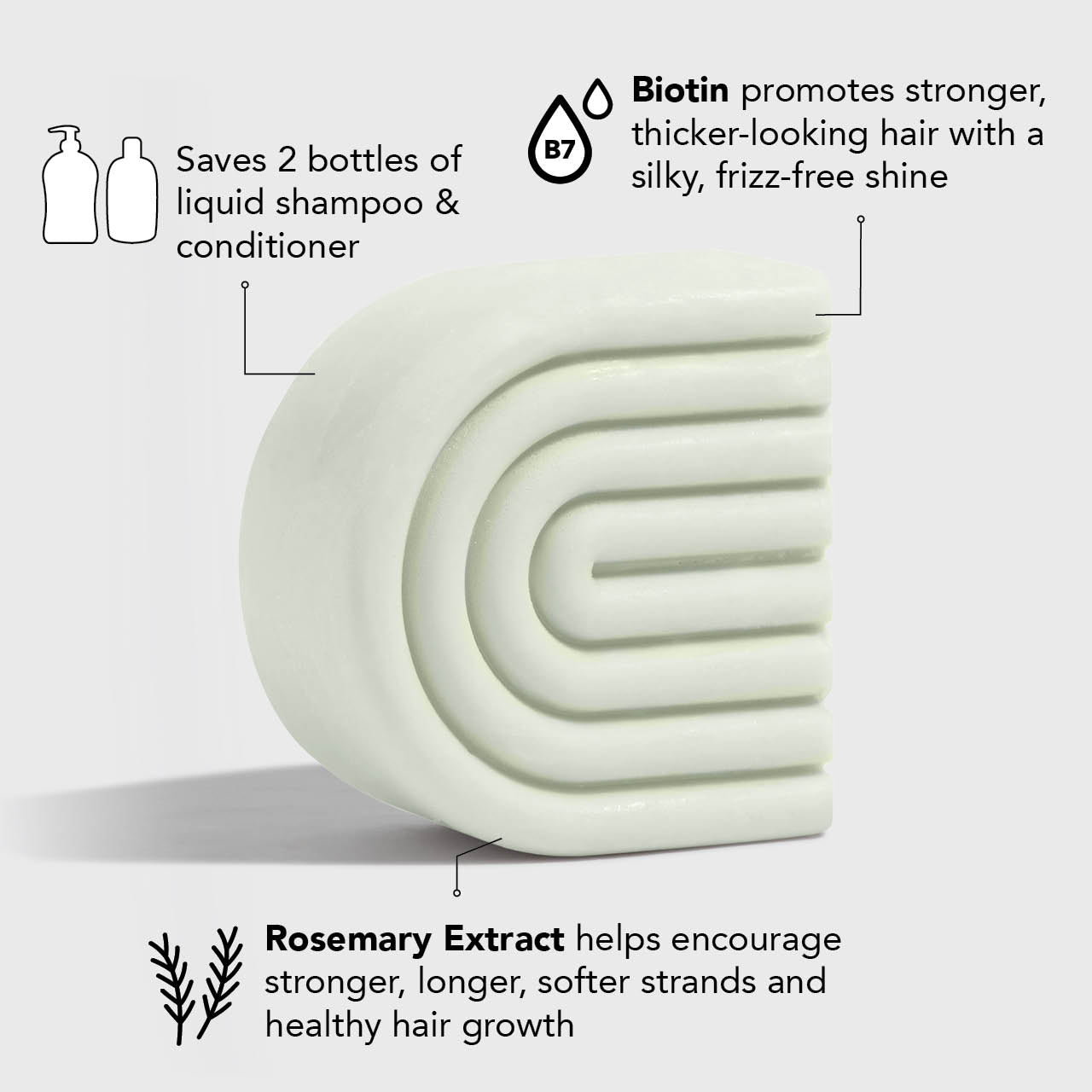 Shampooing et conditionneur volumineux au romarin et à la biotine