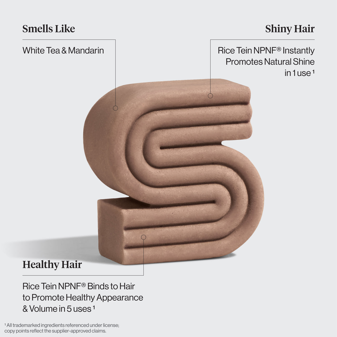KITSCH Rice Water Shampoo & Conditioner Bar Combo for Hair Growth — strengthening rice water shampoo bar ingredient close-up — formulated with Rice Tein NPNF® and Hydrolyzed Rice Protein — free of parabens, phthalates, silicones & sulfates