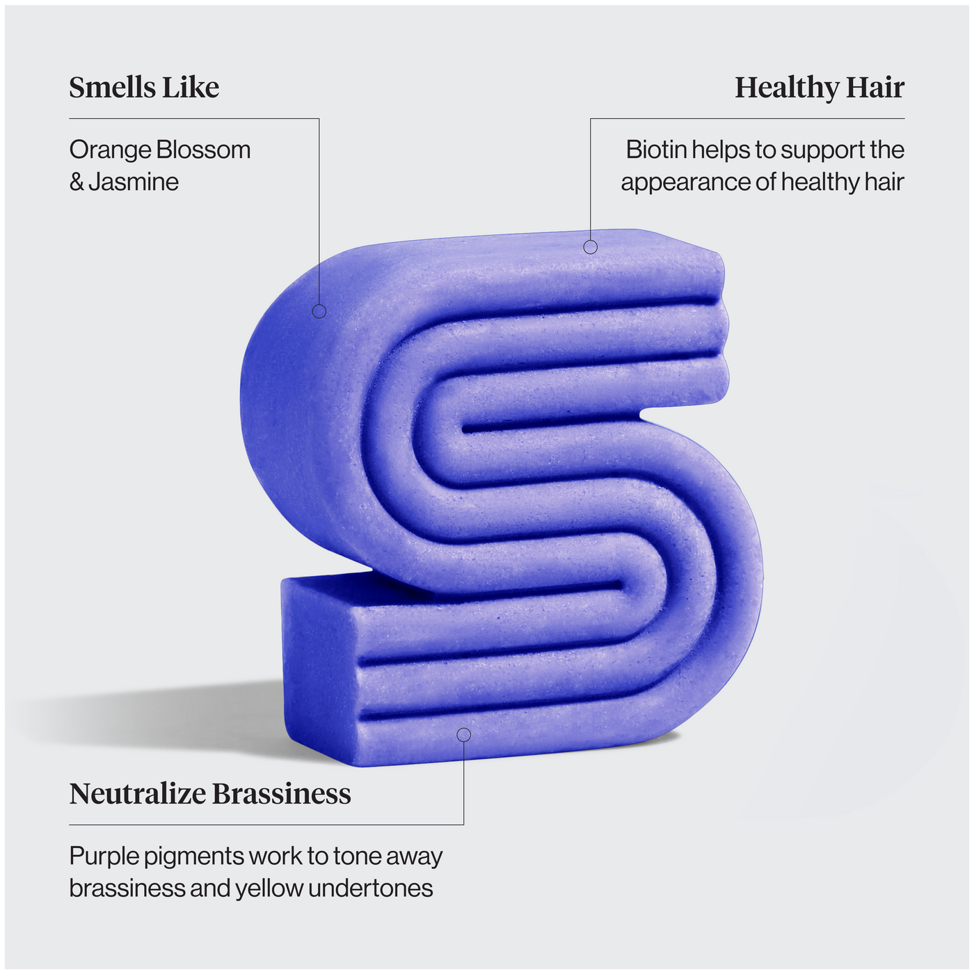 Purple Toning Shampoo Bar for Color Treated & Grey Hair